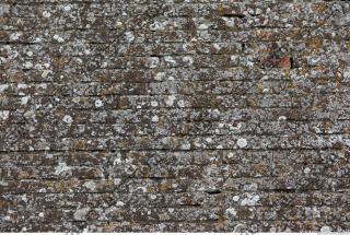 wall bricks overgrown moss 0002